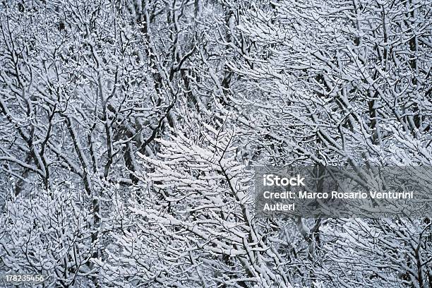 Snow Falling On Expuesto De Nevadas Árboles Foto de stock y más banco de imágenes de Abstracto - Abstracto, Aire libre, Belleza de la naturaleza