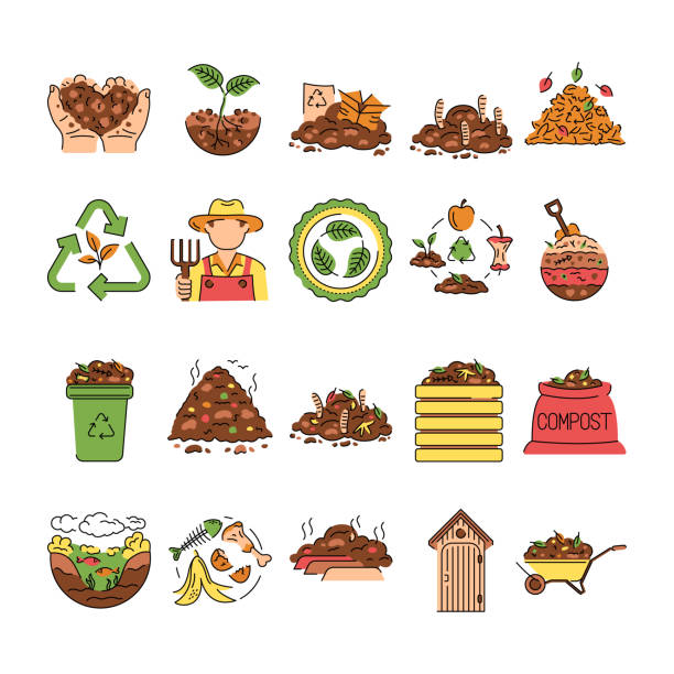 ilustrații de stoc cu compostarea pictogramelor liniilor de culoare. element vectorial izolat. - compostable