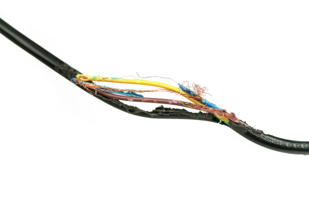 istock Damage on of electricity wire from rat bite on a white background. Copy space for maintenance, repair or service concept. 1782379132