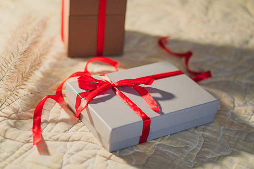 Woman giving a christmas or birthday gift