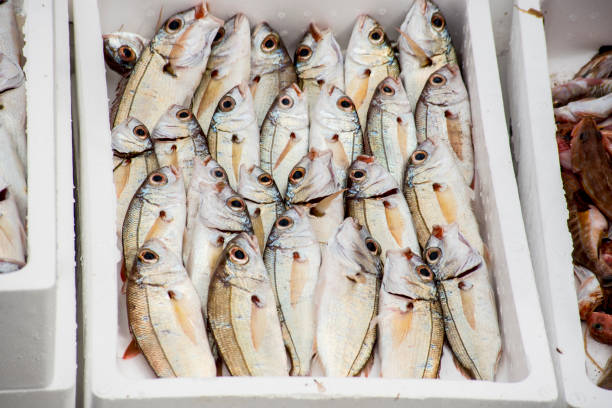 istock Boxes of fish in the fish market after unloading from the ship 1782396871