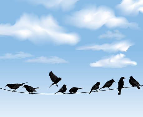Set of birds ыilhouette sitting on wires over blue sky background. A vector illustration