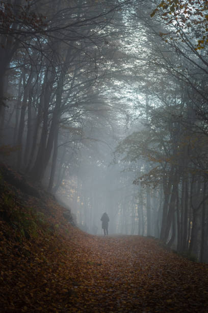 istock Man walking in an autumn fog 1782424818