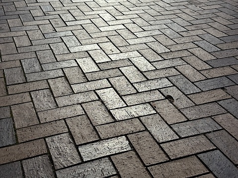 Herringbone Brick Pavers