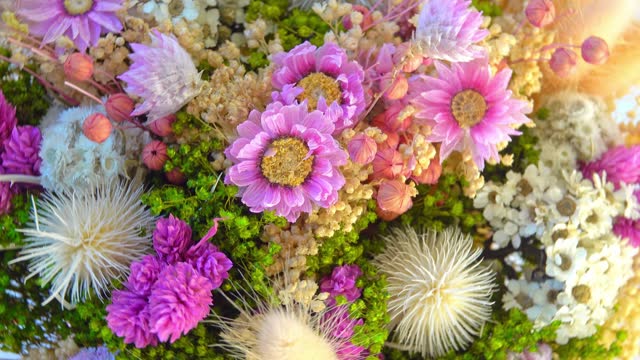beautiful dried flowers in a bouquet close-up.