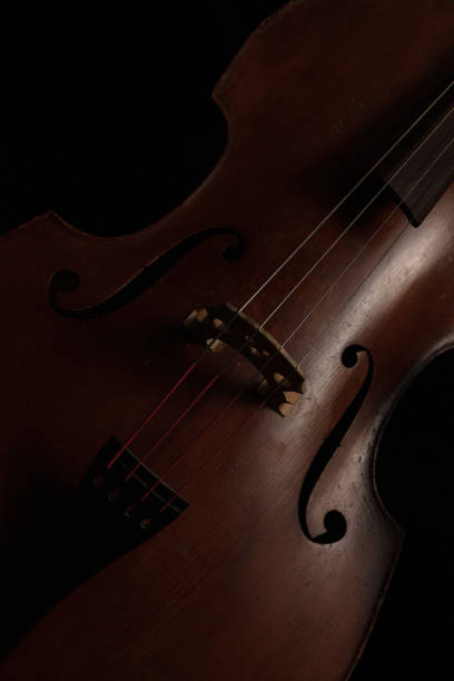 istock Wooden Double bass musical string instrument in a dark 1782460427