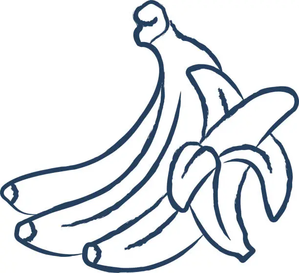 Vector illustration of Banana cut hand drawn vector illustration