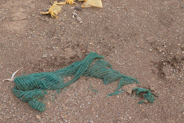 istock Plastic mesh nylon bag on beach, decomposing of non-biodegradable garbage on ground, earth pollution concept 1782514329