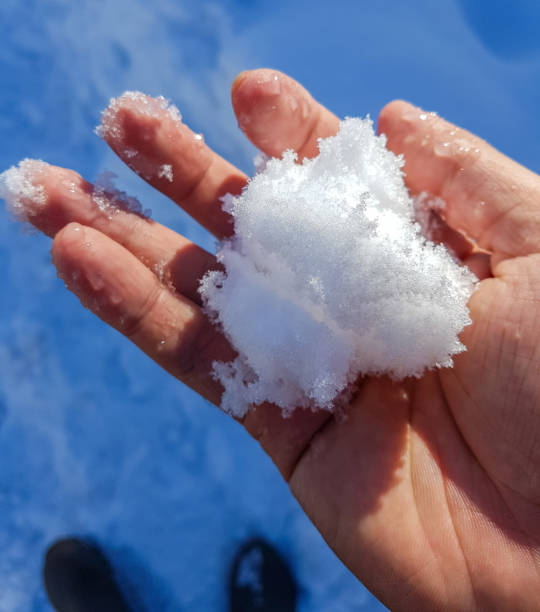 istock Snow Day in Argentine Patagonia 1782521474