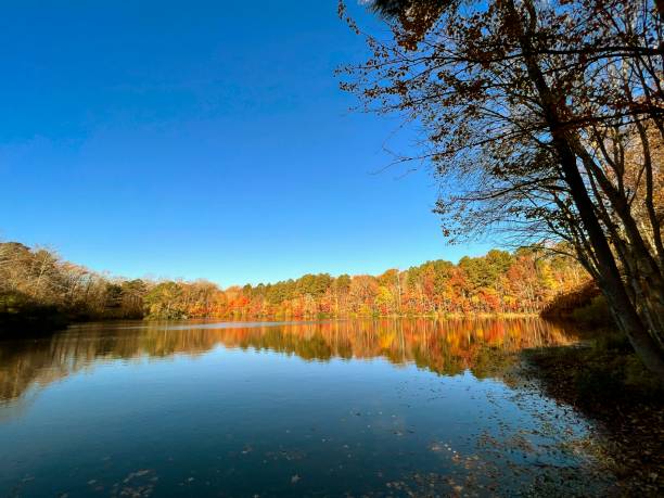 istock Pond in Autumn Colors - II 1782566738