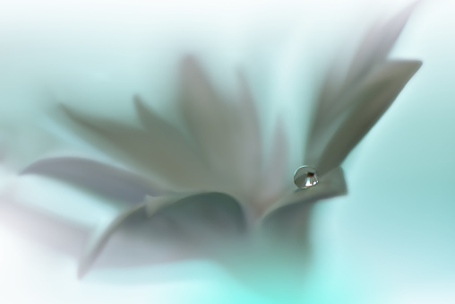 Water drop isolated on the white background. 3D Render