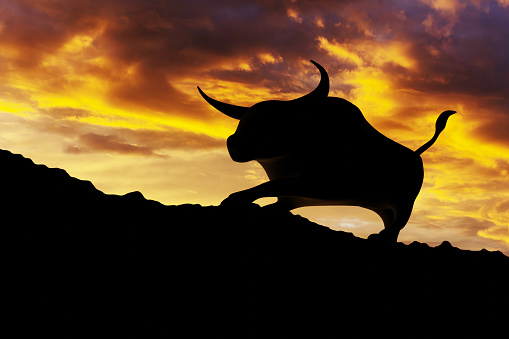 Silhouette of a bull standing on the top of a hill at sunset. Illustration of the concept of bullish stock market
