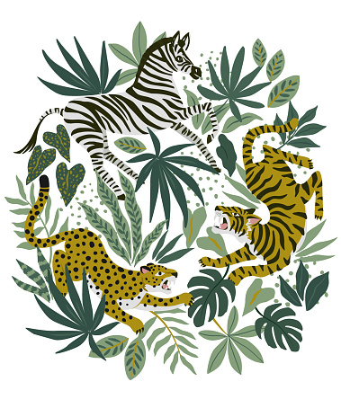 Tiger, leopard and zebra on tropical background. Safari animal print. Vector cards, poster design illustration.