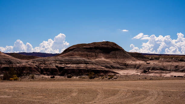 istock View on the Park Ischigualasto 1782634078