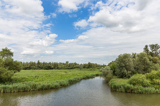 istock Swamp of  National Park 