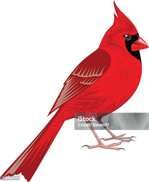 Vetores de Cardeal e mais imagens de Cardeal - Pássaro - Cardeal - Pássaro, Ilustração e Pintura, Animal