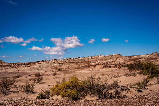 istock View on the Park Ischigualasto 1782644201