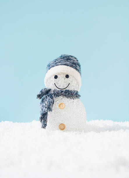 Beautiful Snowman with cap and scarf . Front view. Copy space.