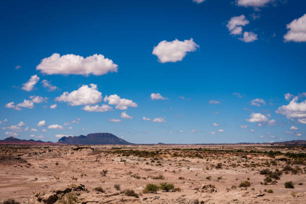 istock View on the Park Ischigualasto 1782681154