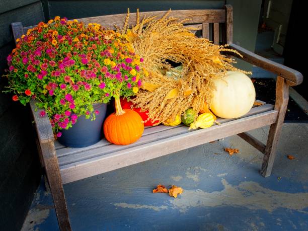 istock Autumn squash, pumpkin and gourds arranged on a bench in downtown Lenox Massachusetts 1782692983