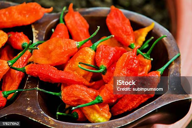 Picante Chili En El Mundo Foto de stock y más banco de imágenes de Agricultura - Agricultura, Alimento, Botánica