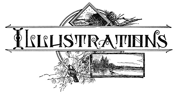 “Illustrations” in Art Nouveau style text. Vintage etching circa 19th century.