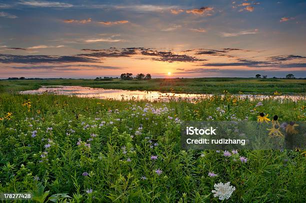 Sunset Over Illinois Stock Photo - Download Image Now - Illinois, Landscape - Scenery, Nature