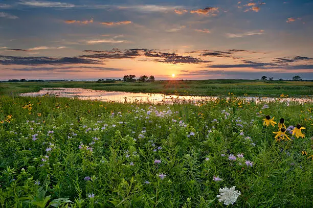 "This photo is taken at Naperville, Illinois."