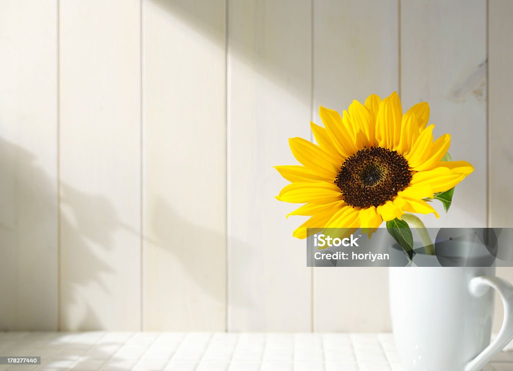 Sunflower - Royalty-free Girassol Foto de stock