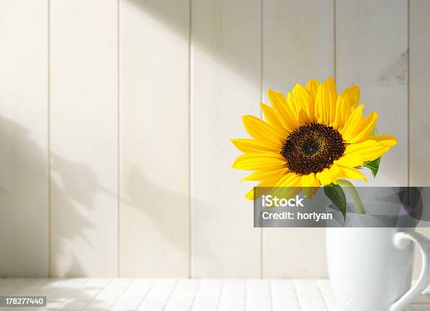 Sunflower - Fotografias de stock e mais imagens de Girassol - Girassol, Jarra - Recipiente, Amarelo