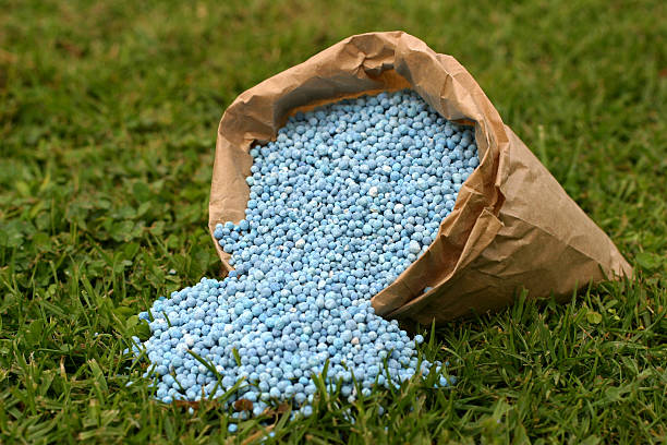 Blue fertilizer spilling from a brown paper bag onto grass stock photo