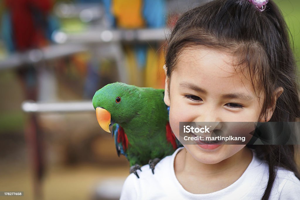 Niedliche kleine Mädchen mit Papagei - Lizenzfrei 6-7 Jahre Stock-Foto