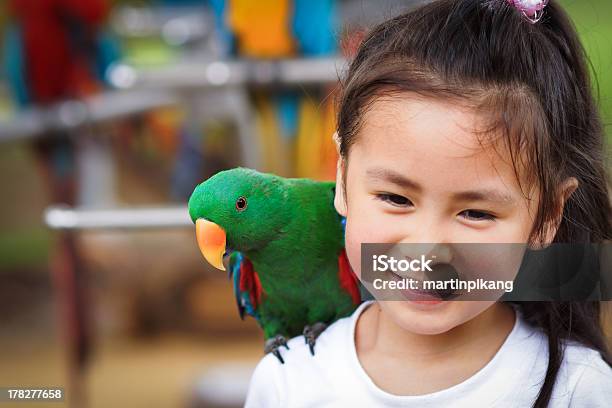 Niedliche Kleine Mädchen Mit Papagei Stockfoto und mehr Bilder von 6-7 Jahre - 6-7 Jahre, Asiatischer und Indischer Abstammung, Chinesischer Abstammung