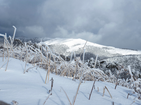 Mount Hotham with an early snow fall