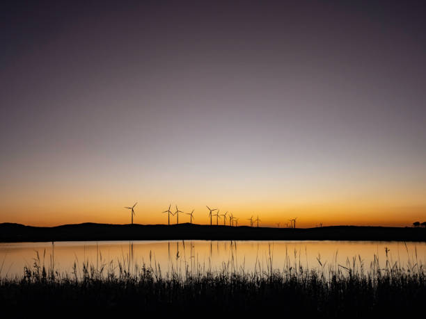 istock Wind farm next to water at sunset 1782788281