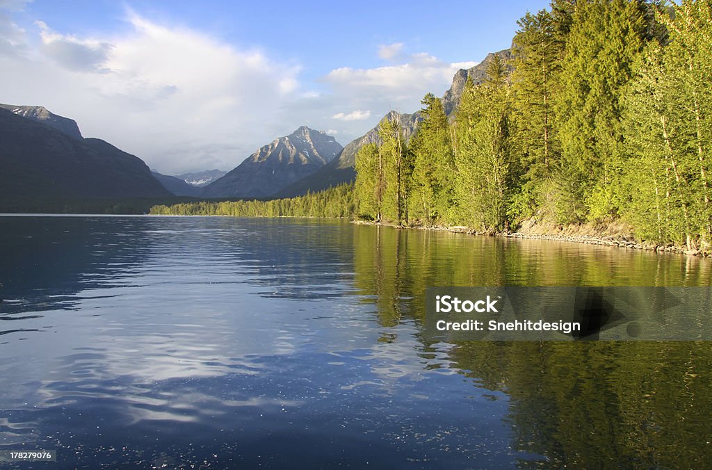 Lac Mc Donald - Photo de Arbre libre de droits