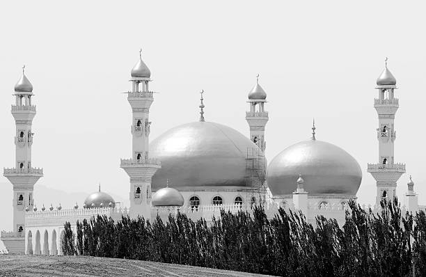 istock Golden Mosque in black-and-white 178279246