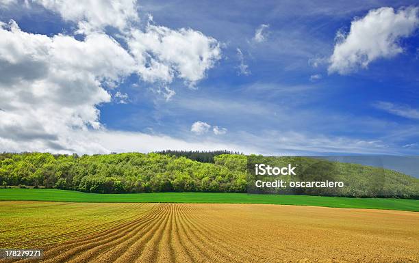 Forest Łąkami I Polami - zdjęcia stockowe i więcej obrazów Baskijska Wspólnota Autonomiczna - Baskijska Wspólnota Autonomiczna, Bez ludzi, Chmura