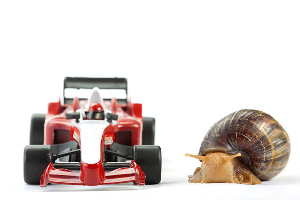 open-wheel single-seater racing car Snail race