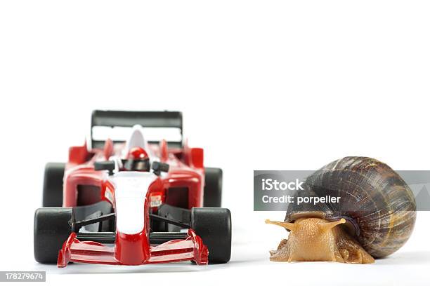Caracol De Corrida De Fórmula 1 - Fotografias de stock e mais imagens de Lento - Lento, Velocidade, Caracol - Gastrópode