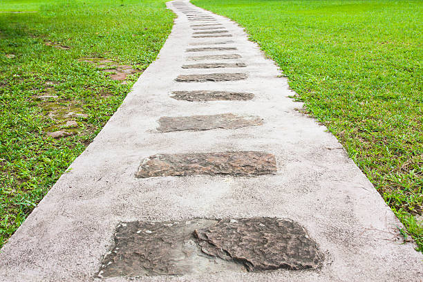 pasadera camino en un hermoso jardín verde - single lane road footpath flower formal garden fotografías e imágenes de stock