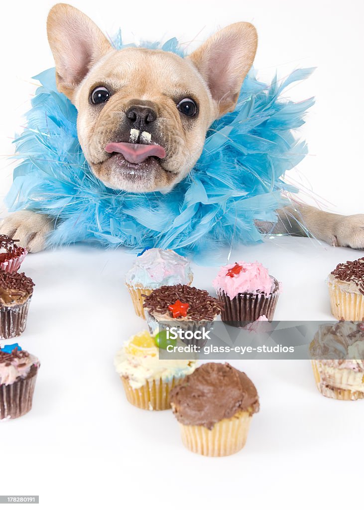 Buldogue francês cachorrinho comer Cupcakes - Royalty-free Bolinho Foto de stock