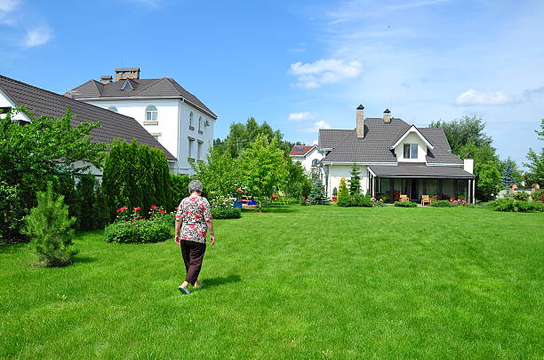 frau auf den garten - formal garden flower bed women grass stock-fotos und bilder