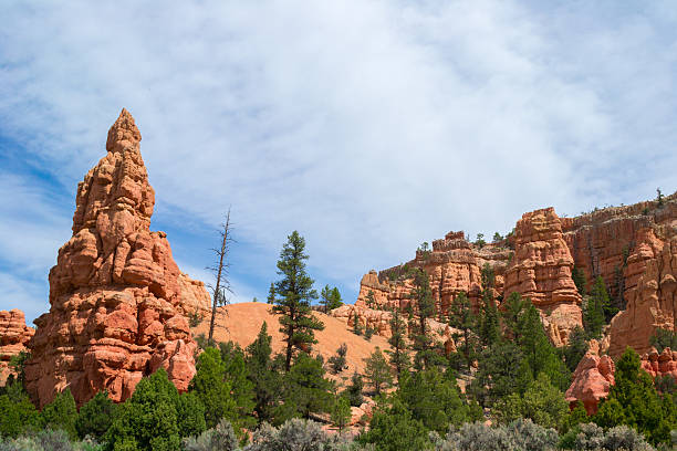 istock National Park Bryce Canyon, Utah. 178282303