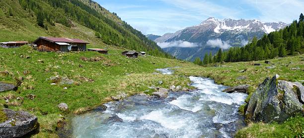 panorama eines typisch österreichischen alpen - bergwiese stock-fotos und bilder