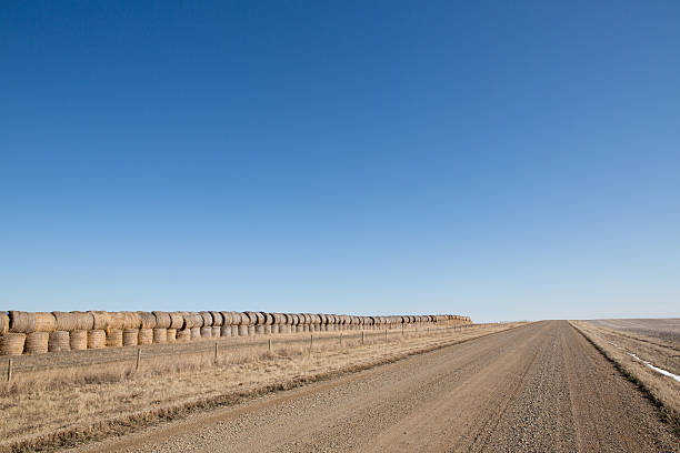 fardos de feno com cascalho prairie estrada e céu azul - saskatchewan country road road prairie - fotografias e filmes do acervo