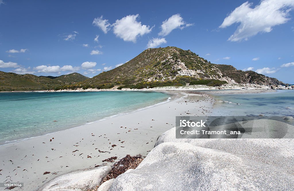 Punta Molentis beach (Sardinia,Italy) "Punta Molentis beach (Sardinia,Italy)" Animals In The Wild Stock Photo