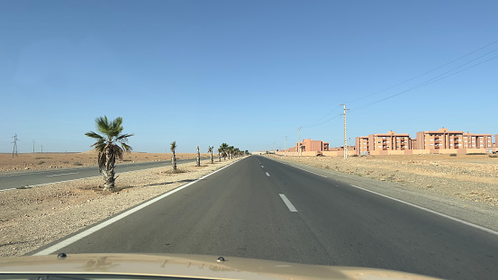 Palm trees and barren landscape, road trip to the Atlantic coast