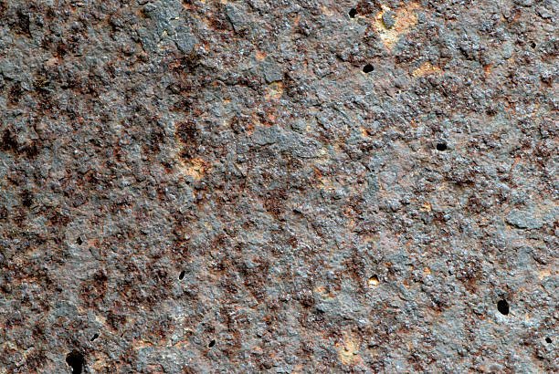 Close up of textures on bark stock photo