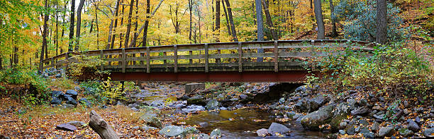 istock Autumn wood bridge panorama 178291128